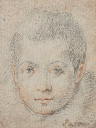 رأس صبي بواسطة Federico Zuccaro