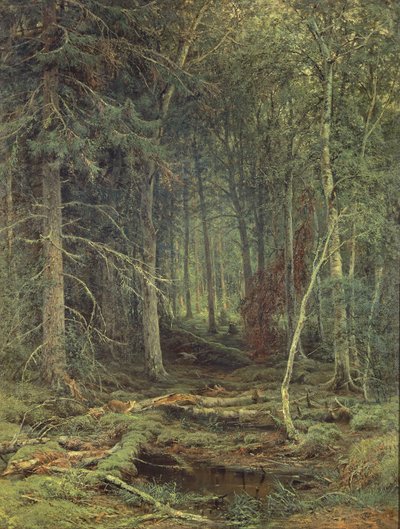 مستنقع في الغابة ، الخريف ، 1872 بواسطة Fedor Aleksandrovich Vasiliev