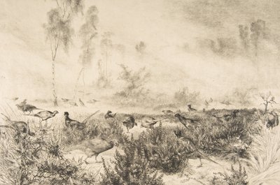 ضباب الصباح ، 1882. بواسطة فيليكس براكيموند