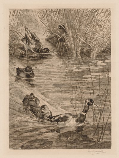 البط في اللعب ، ج. 1870. بواسطة فيليكس براكيموند
