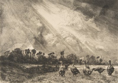 سحابة العاصفة ، 1882-84. بواسطة فيليكس براكيموند
