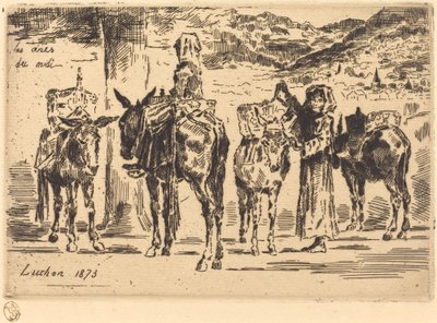 Feuilles d'Anes du Midi ورقة الحمير من الجنوب ، 1873. بواسطة فيليكس هيلير بوهوت
