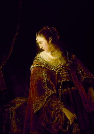 "Femme a sa Dressingeuse" (امرأة على منضدة الزينة) لوحة لفرديناند بول (1616-1680) - حوالي 1645 - زيت على قماش قاتم 128.9x91.8 سم متحف الفنون الجميلة ، هيوستن بواسطة فرديناند بول