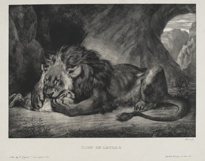 Lion de lAtlas, 1829  بواسطة فرديناند فيكتور يوجين ديلاكروا