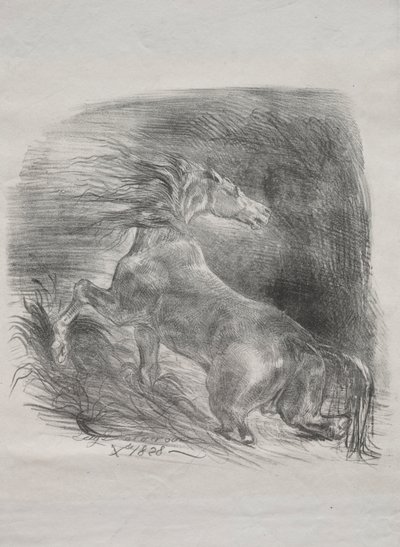 الحصان البري ، أو الحصان الخائف الذي يترك الماء ، 1828. بواسطة فرديناند فيكتور يوجين ديلاكروا