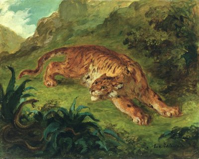 Tiger and Snake ، 1858 (زيت على ورق مثبت على لوحة) بواسطة Ferdinand Victor Eugene Delacroix
