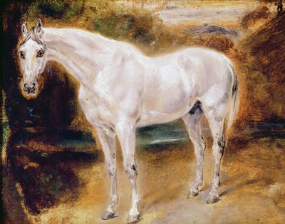 حصان أبيض بواسطة Ferdinand Victor Eugene Delacroix