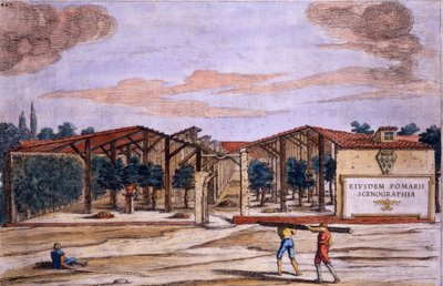 بستان مغطى ، من "Hesperides" بقلم جيوفاني باتيستا فيراري ، منقوش بواسطة Camillo Congio (fl.1630) ، نشر 1646 بواسطة فيليبو جاجلياردي