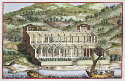 هيكل الدفيئة ، من "Hesperides" بقلم جيوفاني باتيستا فيراري ، منقوش بواسطة Cammillo Congio (fl.1630) ، نشر 1646 بواسطة فيليبو جاجلياردي