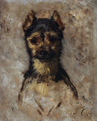 رأس الكلب بواسطة فيليبو باليزي