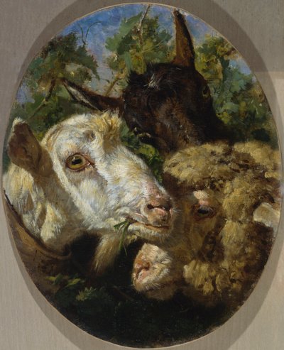 رؤوس الحيوانات بواسطة فيليبو باليزي