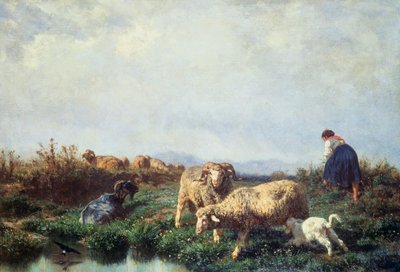 قطعان بواسطة فيليبو باليزي