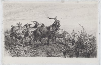 أطفال من البركة بواسطة فيليبو باليزي