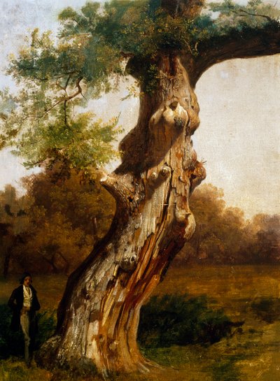 The tree (oil on canvas) بواسطة فيليبو باليزي
