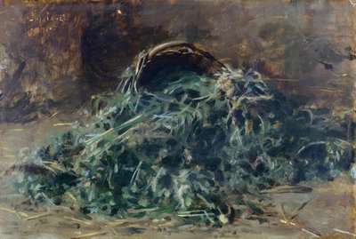 سلة الخضار بواسطة فيليبو باليزي