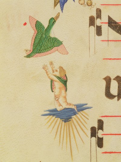 Missal 515 f.13v كروب محجوب يحاول الإمساك بطائر طائر ، من حدود زخرفية ، تفاصيل من كتاب جوقة تم تنفيذه قبل 1449 بتفاصيل رقعة 56721 بواسطة Filippo di Matteo Torelli