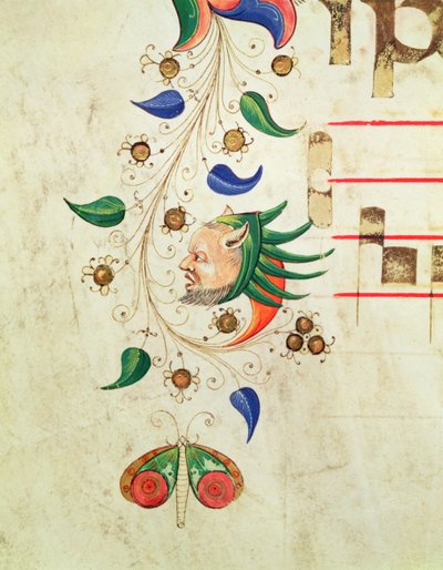 Missal 515 f.72v حدود أوراق زومورفيك ، تفاصيل من كتاب جوقة تم تنفيذها قبل 1449 رق بواسطة Filippo di Matteo Torelli