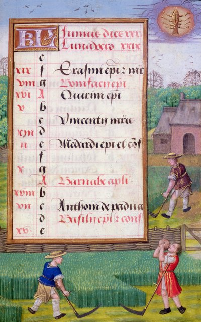 Ms 1058-1975 f6r Mowing Grass ، صفحة تقويم مضيئة لشهر يونيو ، من كتاب الصلوات ، حوالي 1500 (ورق) بواسطة المدرسة الفلمنكية