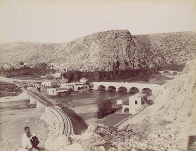 جسور الزهرة [نهر] الكلب ، كاليفورنيا. 1880. بواسطة فيليكس بونفيس