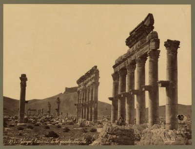 جزء من الرواق الكبير قلعة قلعة بن معان في المسافة ، تدمر حوالي 1875 (طباعة زلالية) بواسطة فيليكس بونفيس