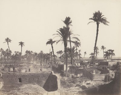 أبازيز ، داخل قرية عربية ، 1851-52 ، طبعت 1853-54. بواسطة فيليكس تينارد