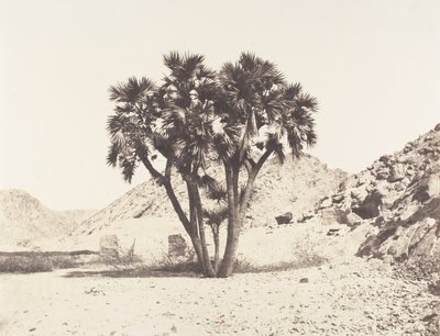 محيط ملف ، بالمير دوم على الضفة الشرقية للنيل ، 1851-52 ، طبعت 1853-54. بواسطة فيليكس تينارد