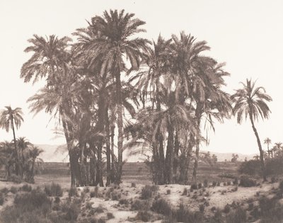 الكرنك ، مجموعة نخيل التمر من النقطة أ ، 1851-52 ، طبعت 1853-54. بواسطة فيليكس تينارد