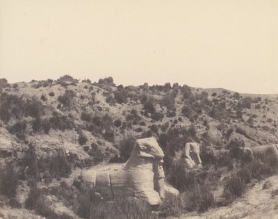 كرنك طيبة ، أبو الهول برأس بشري ورأس كبش ، في Y ، 1851-52 ، طبعت 1853-54. بواسطة فيليكس تينارد