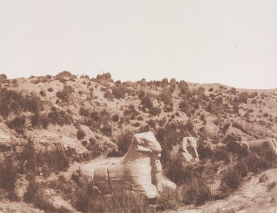 تمثال لأبي الهول برأس بشري ورأس كبش عند النقطة Y. الكرنك طيبة ، 1851-1852. بواسطة فيليكس تينارد
