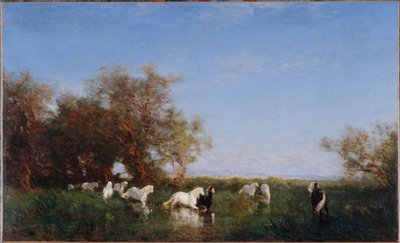 خيول برية في كامارغ، بين عامي 1890 و1895 (زيت على قماش) بواسطة فيليكس زيم