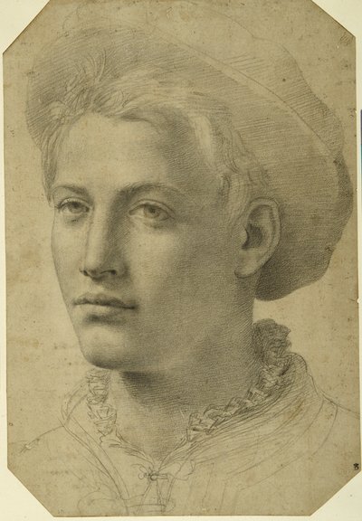 Portrait head of a youth wearing a cap, c.1530-40 (black chalk on white paper) بواسطة مدرسة فلورنسا