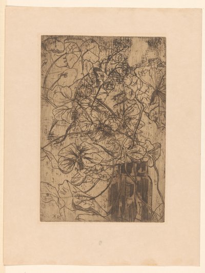 مزهرية nasturtium (العنوان الأصلي) بواسطة فلوريس فيرستر