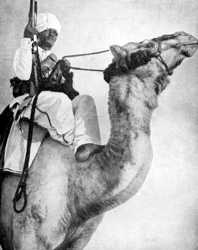 محارب الصحراء في أفريقيا ، 1936. بواسطة صور فوكس