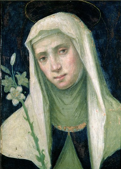 سانت كاترين سيينا (1347-80) (درجة الحرارة على اللوحة) بواسطة فرا بارتولوميو