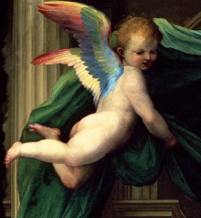 الزواج الصوفي للقديسة كاترين سيينا مع القديسين ، تفاصيل ملاك ، 1511 زيت على تفاصيل لوحة 93870 بواسطة فرا بارتولوميو