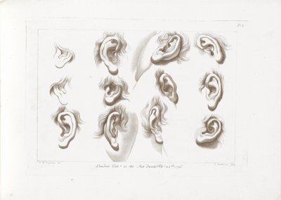 اثنا عشر آذان مبادئ سيبرياني للرسم (عنوان السلسلة) أساسيات رسم شبرياني (عنوان السلسلة) بواسطة جيوفاني باتيستا سيبرياني