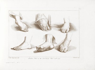 ستة أقدام مبادئ سيبرياني للرسم (عنوان السلسلة) أساسيات رسم شبرياني (عنوان السلسلة) بواسطة جيوفاني باتيستا سيبرياني