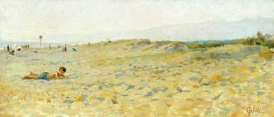 شاطئ في Cinquale بواسطة Francesco Gioli (1846-1922) ، زيت على لوح بواسطة Francesco Gioli