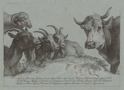 دراسة الرؤوس: ثلاثة ماعز ، ثور ، وكبش ، منشور ج. 1783. بواسطة فرانشيسكو لندنيو