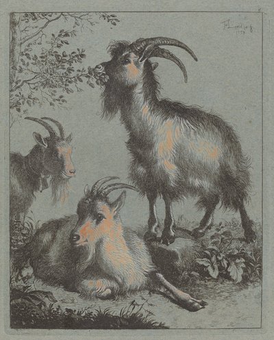 ثلاثة ماعز 1758. بواسطة فرانشيسكو لندنيو