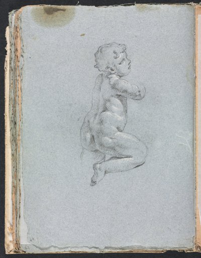 كتاب رسم فيرونا: بوتو في صفحة الملف الشخصي 64 ، 1760. بواسطة فرانشيسكو لورينزي