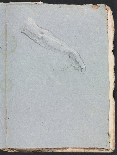 فيرونا كراسة الرسم: الذراع الأيمن واليد الصفحة 95 ، 1760. بواسطة فرانشيسكو لورينزي