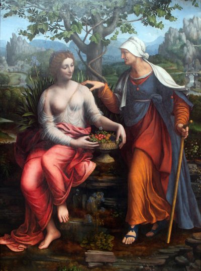 Vertumnus و Pomona بواسطة فرانشيسكو ميلزي