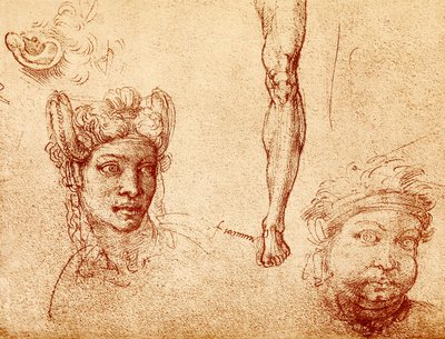 دراسات الرأس والساق بواسطة فرانشيسكو أوبيرتيني باشيكا