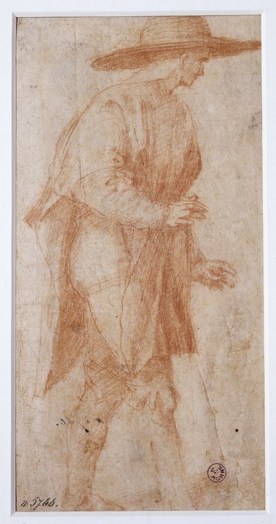 صورة غير معروفة بواسطة فرانشيسكو أوبيرتيني باشيكا