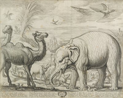 أفريقيا ، 1672 بواسطة فرانسيس بارلو