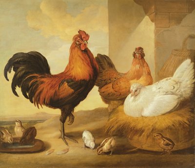 الديك المحلي ، الدجاج والدجاج ، 1655 بواسطة فرانسيس بارلو