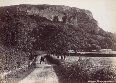 Abergele ، كهف Tan-yr-ogo ، 1870. بواسطة فرانسيس بيدفورد