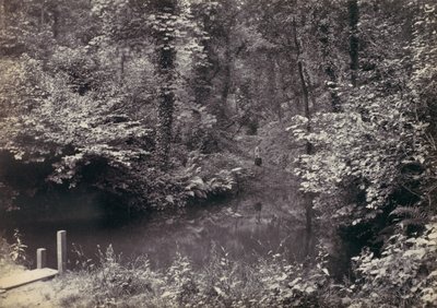 كولوين باي. The Pool in the Wood ، 1870s. بواسطة فرانسيس بيدفورد