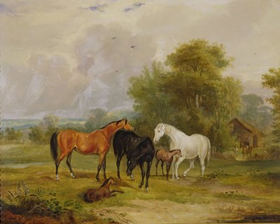 رعي الخيول: الأفراس والمهرات في الحقل بواسطة Francis Calcraft Turner